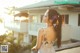 A woman with a flower in her hair standing on a balcony.